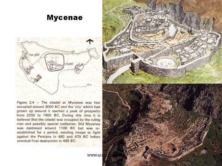 Mycenae www. assignmentpoint. com 