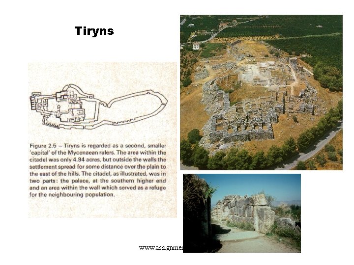 Tiryns www. assignmentpoint. com 