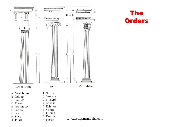 The Orders www. assignmentpoint. com 