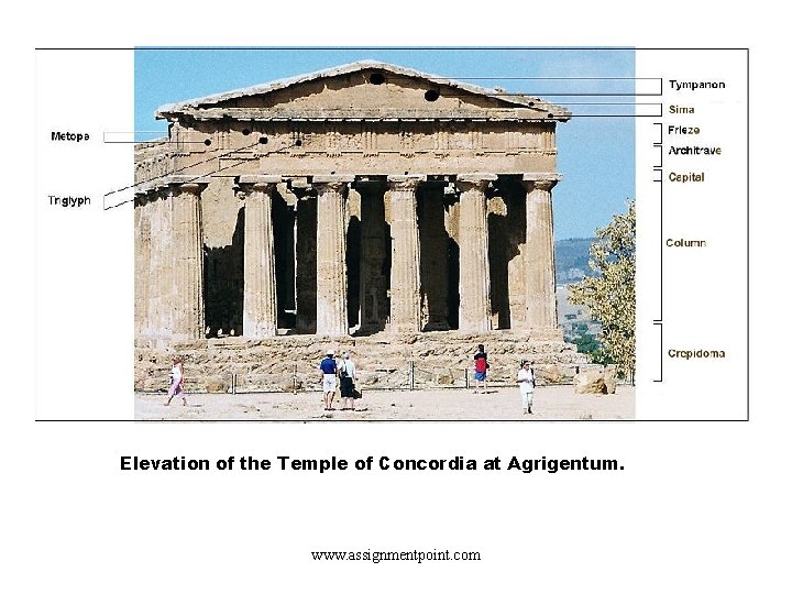 Elevation of the Temple of Concordia at Agrigentum. www. assignmentpoint. com 
