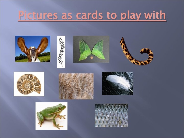 Pictures as cards to play with 