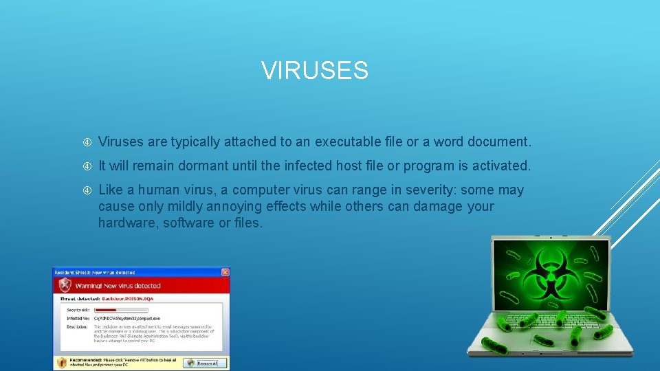 VIRUSES Viruses are typically attached to an executable file or a word document. It