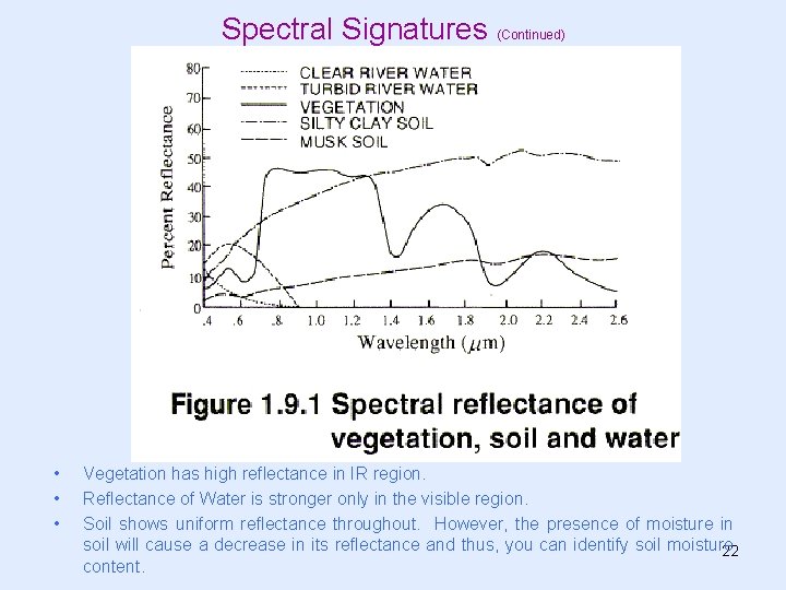 Spectral Signatures (Continued) • • • Vegetation has high reflectance in IR region. Reflectance Spectral Signatures (Continued) • • • Vegetation has high reflectance in IR region. Reflectance