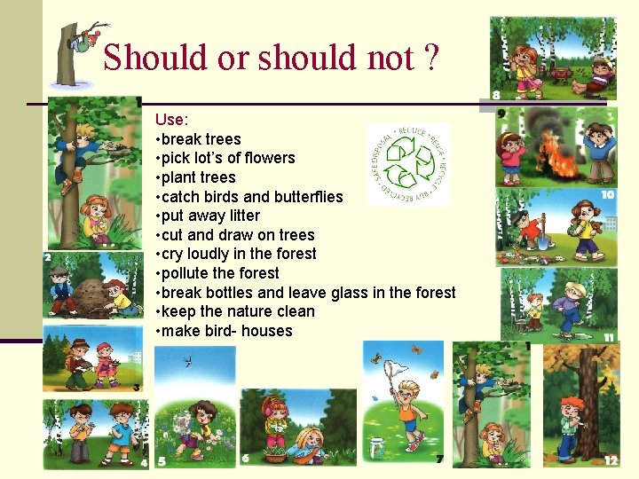 Should or should not ? Use: • break trees • pick lot’s of flowers