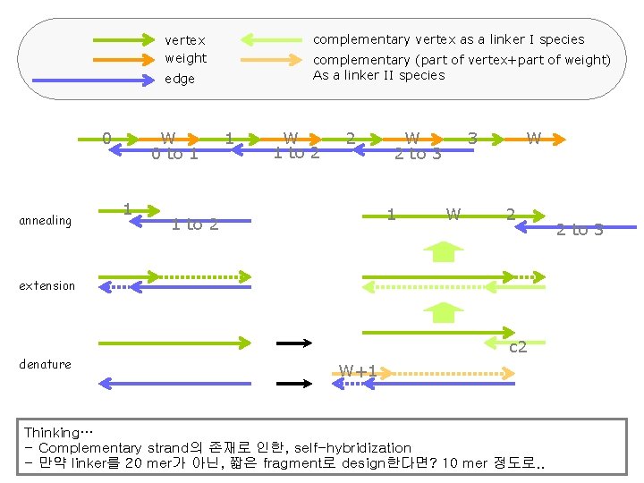 complementary vertex as a linker I species vertex weight complementary (part of vertex+part of complementary vertex as a linker I species vertex weight complementary (part of vertex+part of