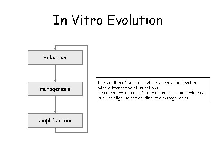 In Vitro Evolution selection mutagenesis amplification Preparation of a pool of closely related molecules In Vitro Evolution selection mutagenesis amplification Preparation of a pool of closely related molecules