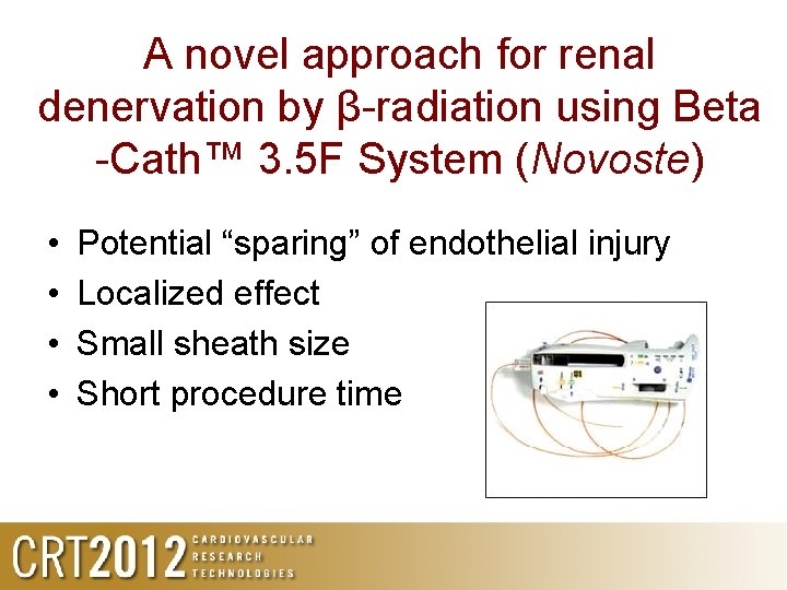 A novel approach for renal denervation by β-radiation using Beta -Cath™ 3. 5 F