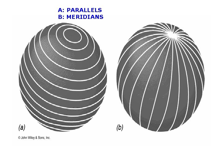 A: PARALLELS B: MERIDIANS 