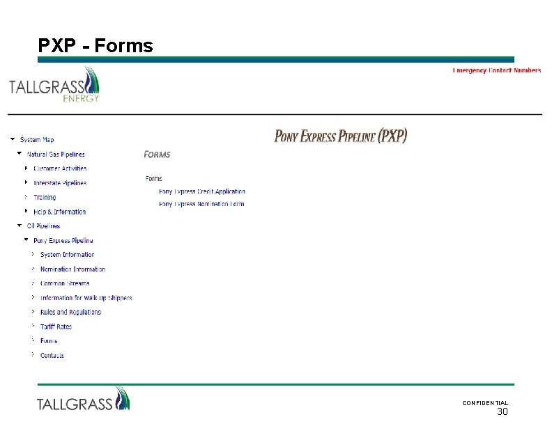 PXP - Forms CONFIDENTIAL 30 