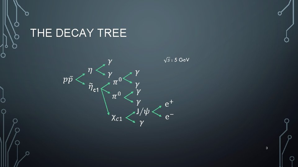 THE DECAY TREE ~ c 1 3 