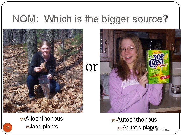 NOM: Which is the bigger source? or Allochthonous 12 land plants Autochthonous Aquatic plants