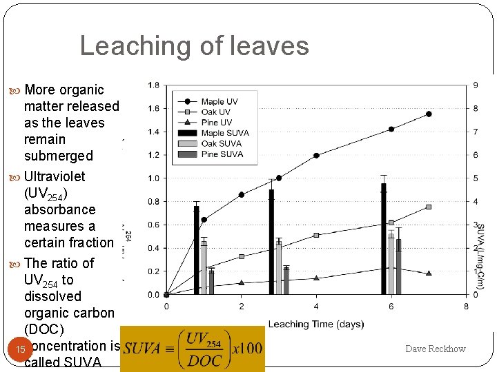 Leaching of leaves More organic matter released as the leaves remain submerged Ultraviolet (UV