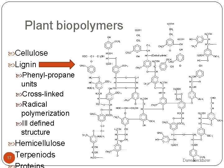 Plant biopolymers Cellulose Lignin Phenyl-propane units Cross-linked Radical polymerization Ill defined structure Hemicellulose Terpeniods
