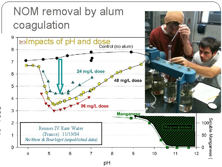 NOM removal by alum coagulation Impacts of p. H and dose Rennes IV Raw