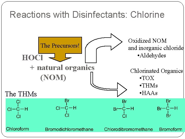 Reactions with Disinfectants: Chlorine The Precursors! HOCl + natural organics (NOM) The THMs 43