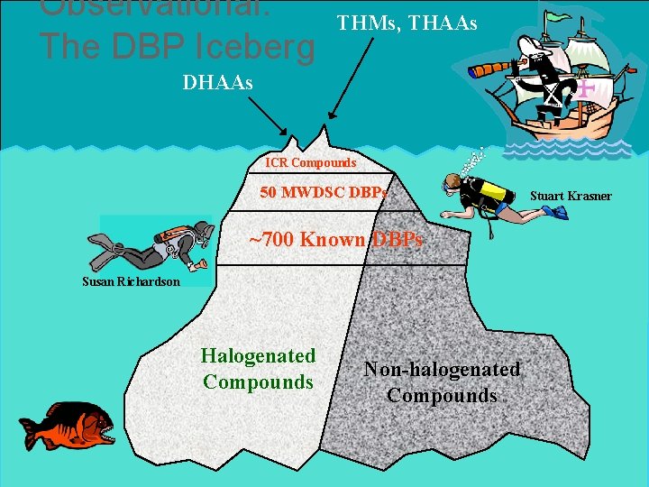 Observational: The DBP Iceberg THMs, THAAs DHAAs ICR Compounds 50 MWDSC DBPs ~700 Known