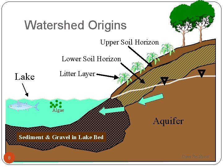 Watershed Origins Upper Soil Horizon Lower Soil Horizon Lake Litter Layer Algae Aquifer Sediment