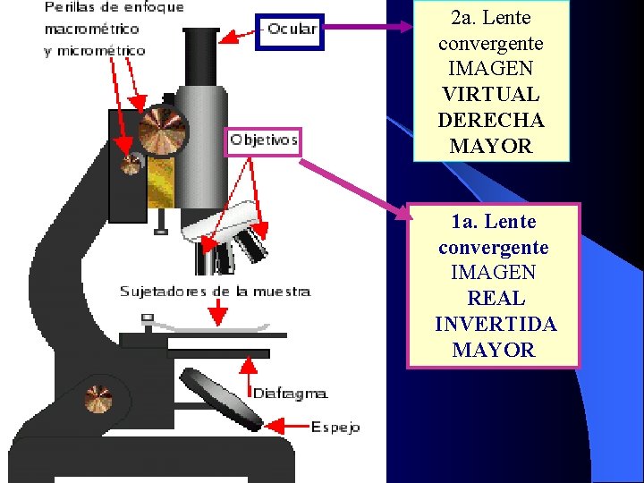 2 a. Lente convergente IMAGEN VIRTUAL DERECHA MAYOR 1 a. Lente convergente IMAGEN REAL