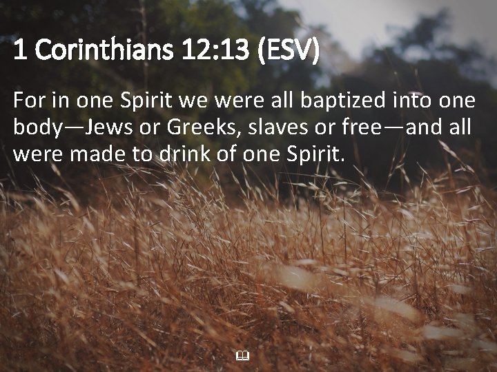 1 Corinthians 12: 13 (ESV) For in one Spirit we were all baptized into