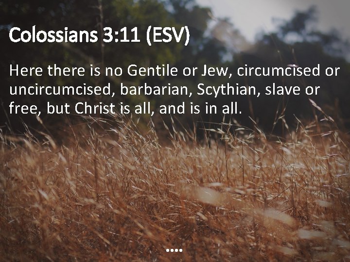 Colossians 3: 11 (ESV) Here there is no Gentile or Jew, circumcised or uncircumcised,