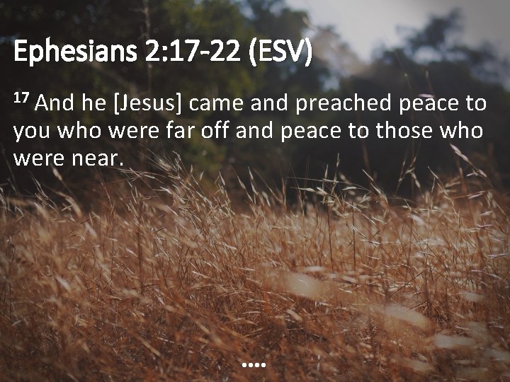 Ephesians 2: 17 -22 (ESV) 17 And he [Jesus] came and preached peace to