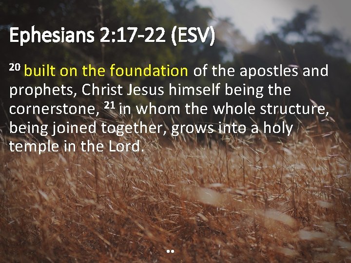 Ephesians 2: 17 -22 (ESV) 20 built on the foundation of the apostles and