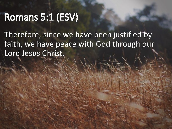 Romans 5: 1 (ESV) Therefore, since we have been justified by faith, we have