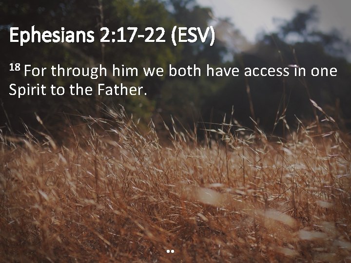 Ephesians 2: 17 -22 (ESV) 18 For through him we both have access in