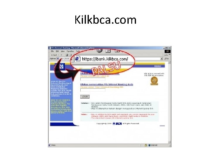 Kilkbca. com 