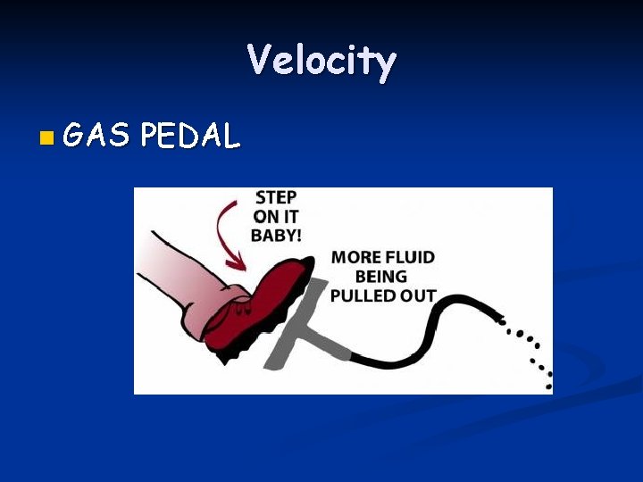 Velocity n GAS PEDAL 