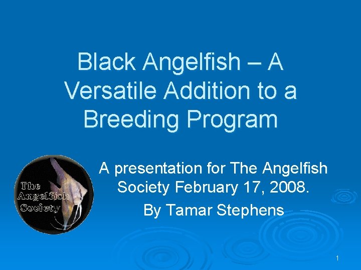 Black Angelfish – A Versatile Addition to a Breeding Program A presentation for The