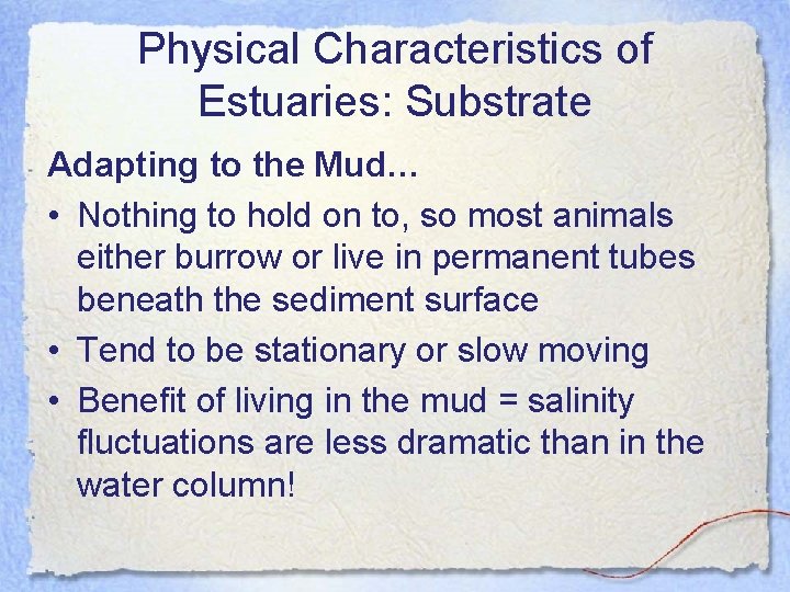 Physical Characteristics of Estuaries: Substrate Adapting to the Mud… • Nothing to hold on