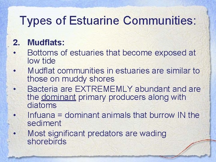 Types of Estuarine Communities: 2. Mudflats: • Bottoms of estuaries that become exposed at