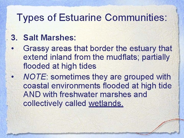 Types of Estuarine Communities: 3. Salt Marshes: • Grassy areas that border the estuary