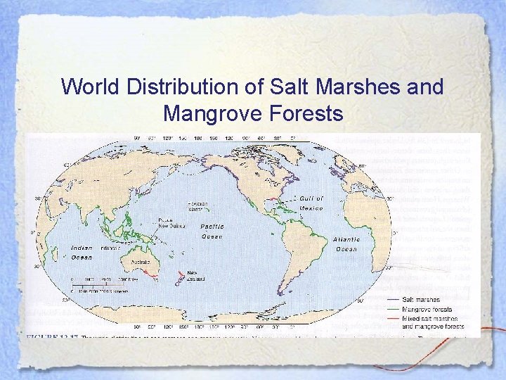 World Distribution of Salt Marshes and Mangrove Forests 