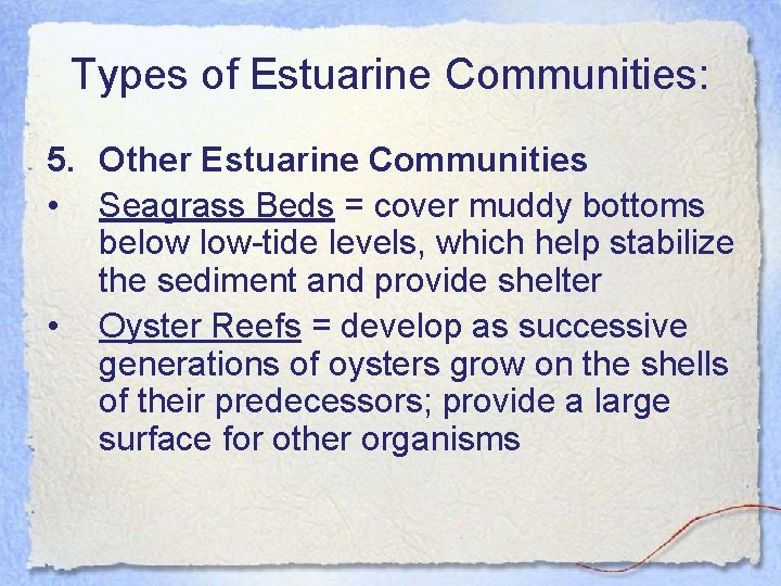 Types of Estuarine Communities: 5. Other Estuarine Communities • Seagrass Beds = cover muddy