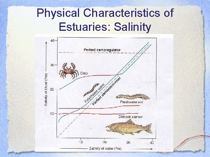 Physical Characteristics of Estuaries: Salinity 