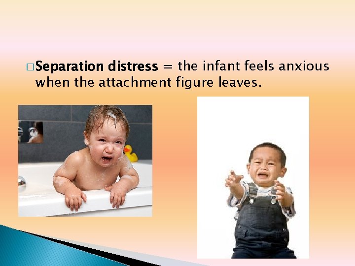 � Separation distress = the infant feels anxious when the attachment figure leaves. � Separation distress = the infant feels anxious when the attachment figure leaves.