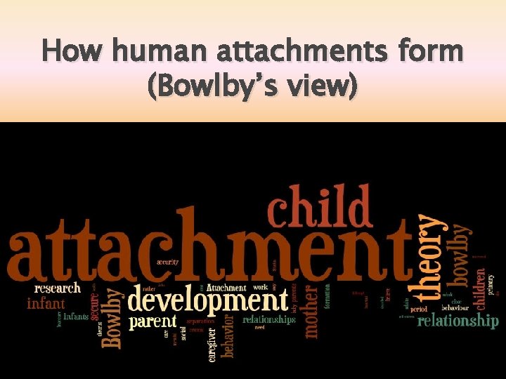 How human attachments form (Bowlby’s view) How human attachments form (Bowlby’s view)