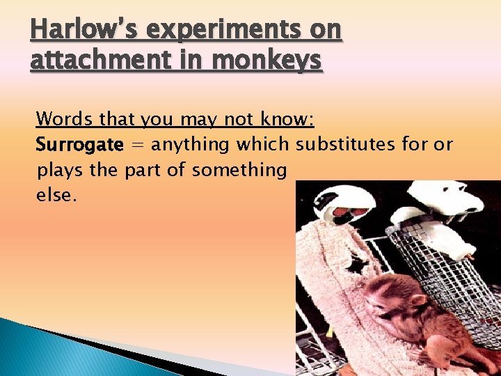 Harlow’s experiments on attachment in monkeys Words that you may not know: Surrogate = Harlow’s experiments on attachment in monkeys Words that you may not know: Surrogate =