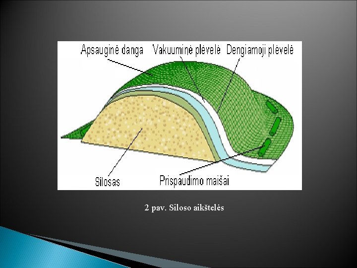 2 pav. Siloso aikštelės 