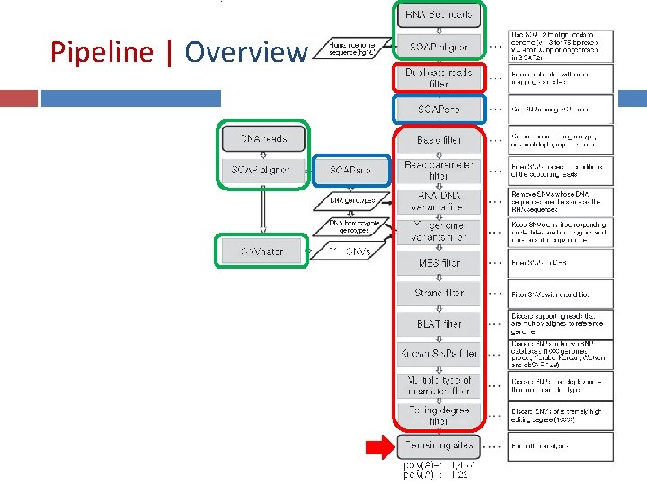Comprehensive analysis of RNASeq data reveals extensive RNA
