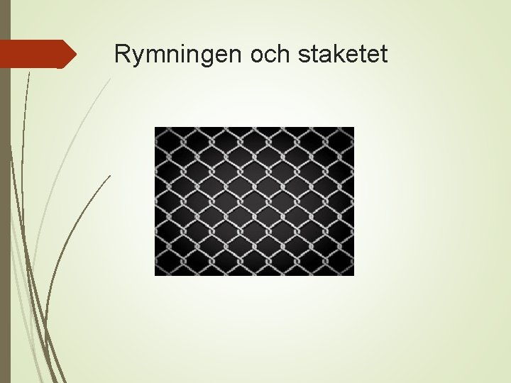 Rymningen och staketet 