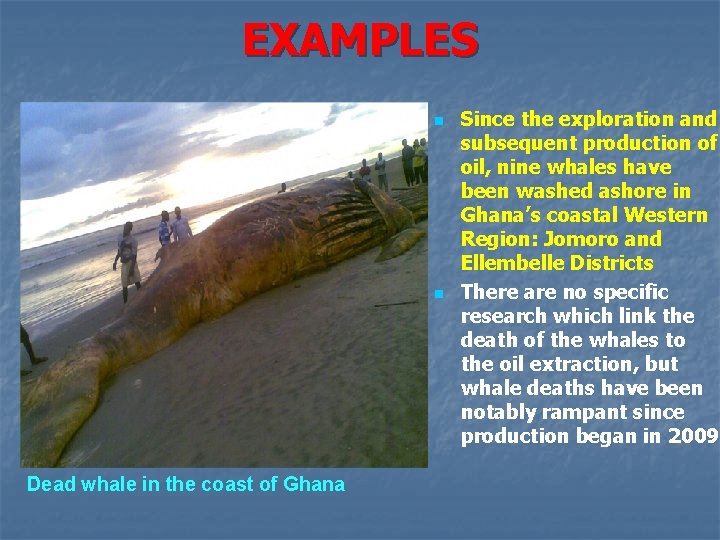 EXAMPLES n n Dead whale in the coast of Ghana Since the exploration and