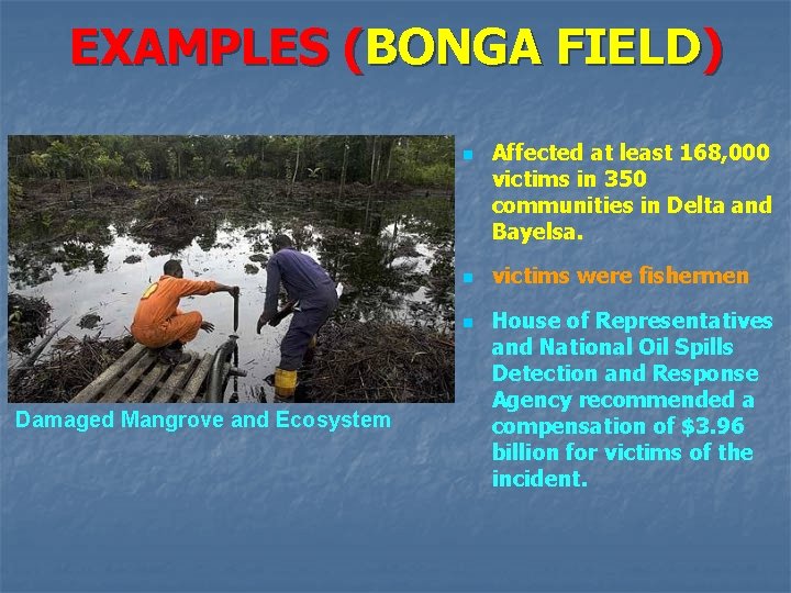 EXAMPLES (BONGA FIELD) n n n Damaged Mangrove and Ecosystem Affected at least 168,