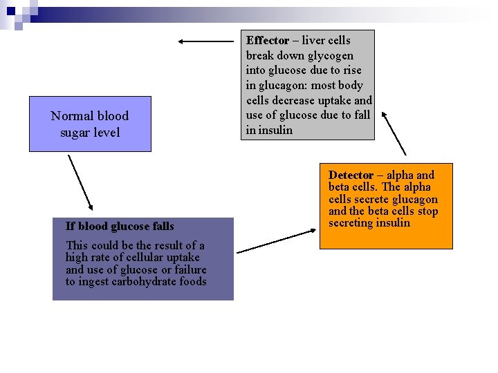 Normal blood sugar level If blood glucose falls This could be the result of