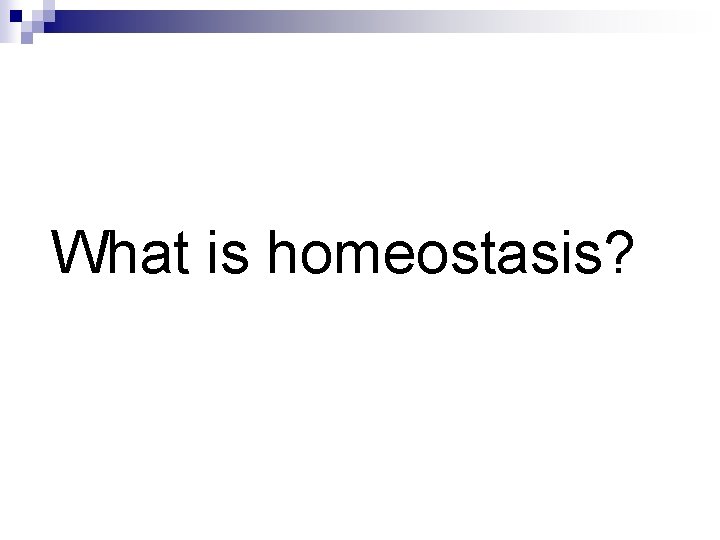 What is homeostasis? 