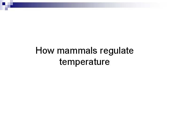 How mammals regulate temperature 