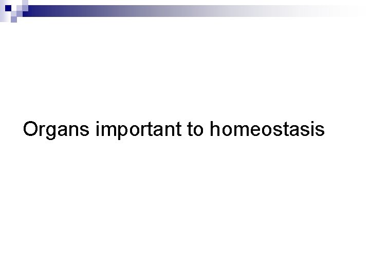 Organs important to homeostasis 
