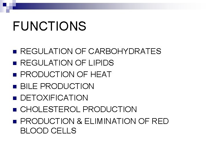 FUNCTIONS n n n n REGULATION OF CARBOHYDRATES REGULATION OF LIPIDS PRODUCTION OF HEAT